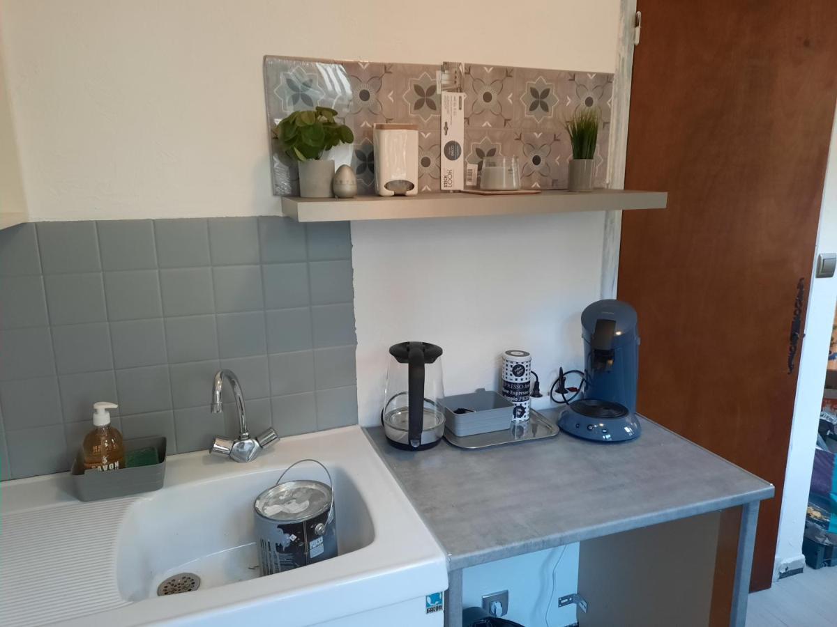 Studio Renove Au Coeur Du Village Saint-Martin-Vésubie Kültér fotó